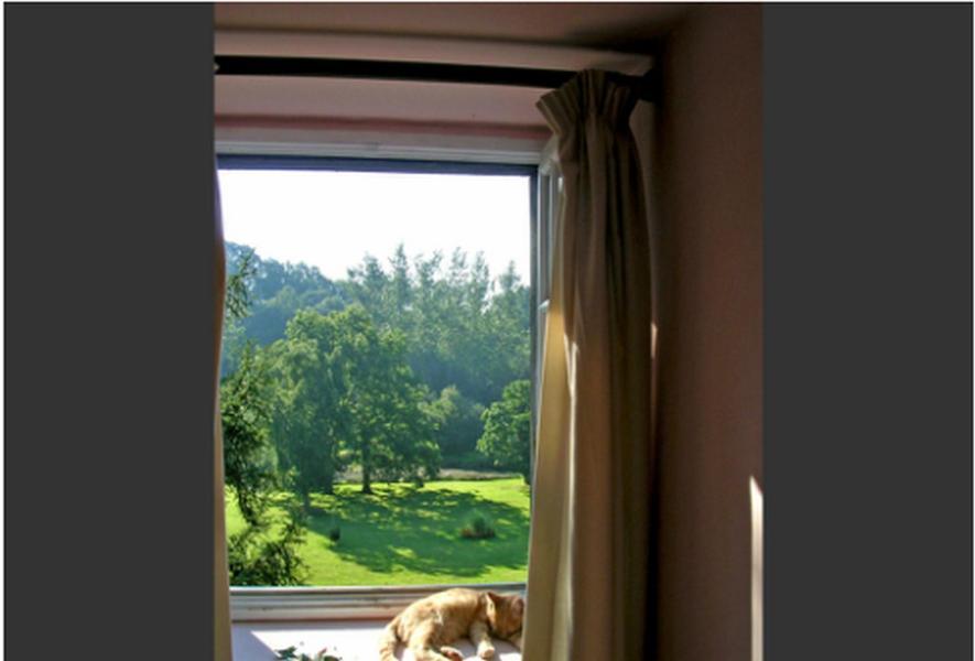 Chambres D'Hotes La Baudriere Livaie Номер фото